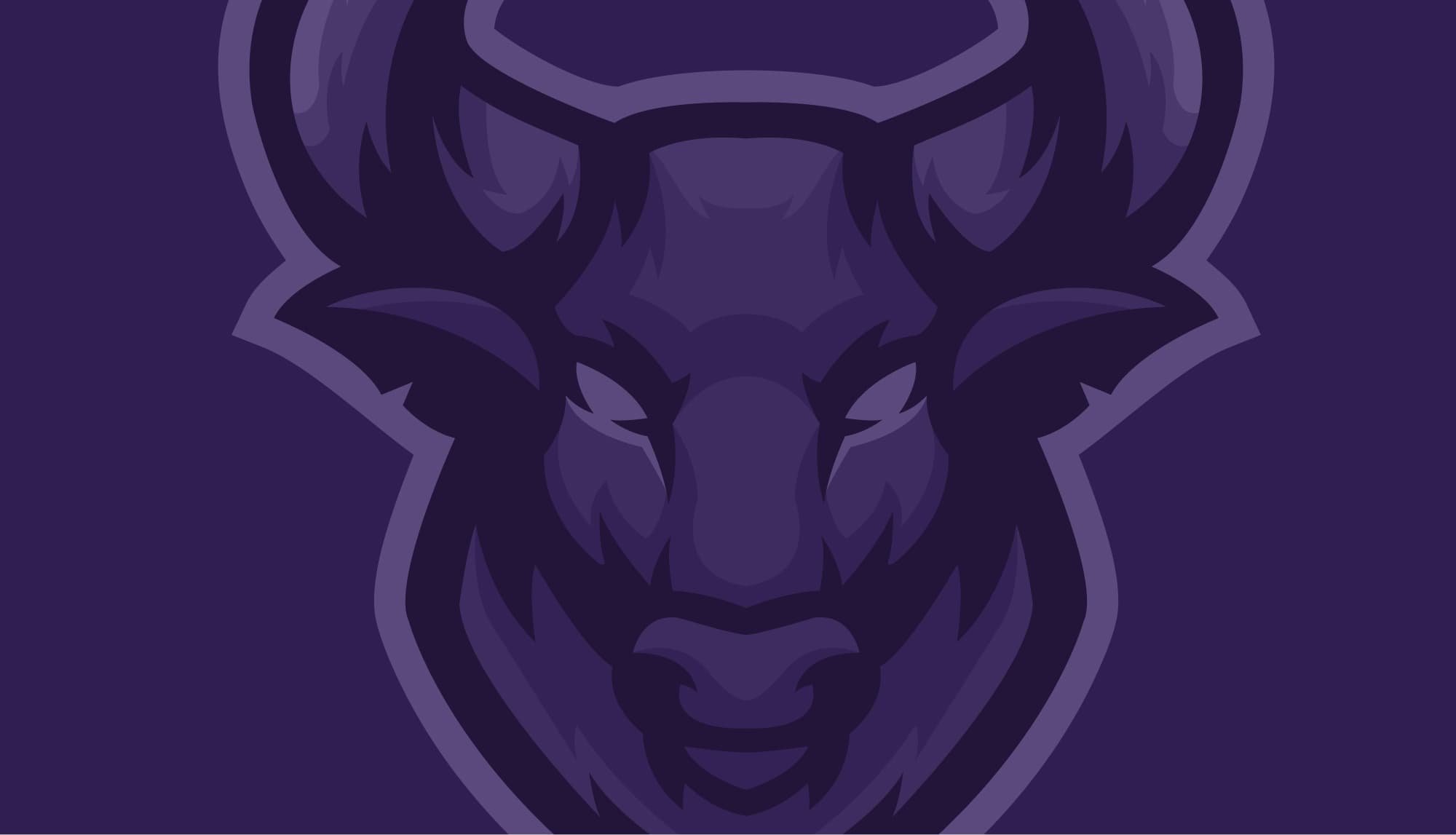 Flag Football Banner
